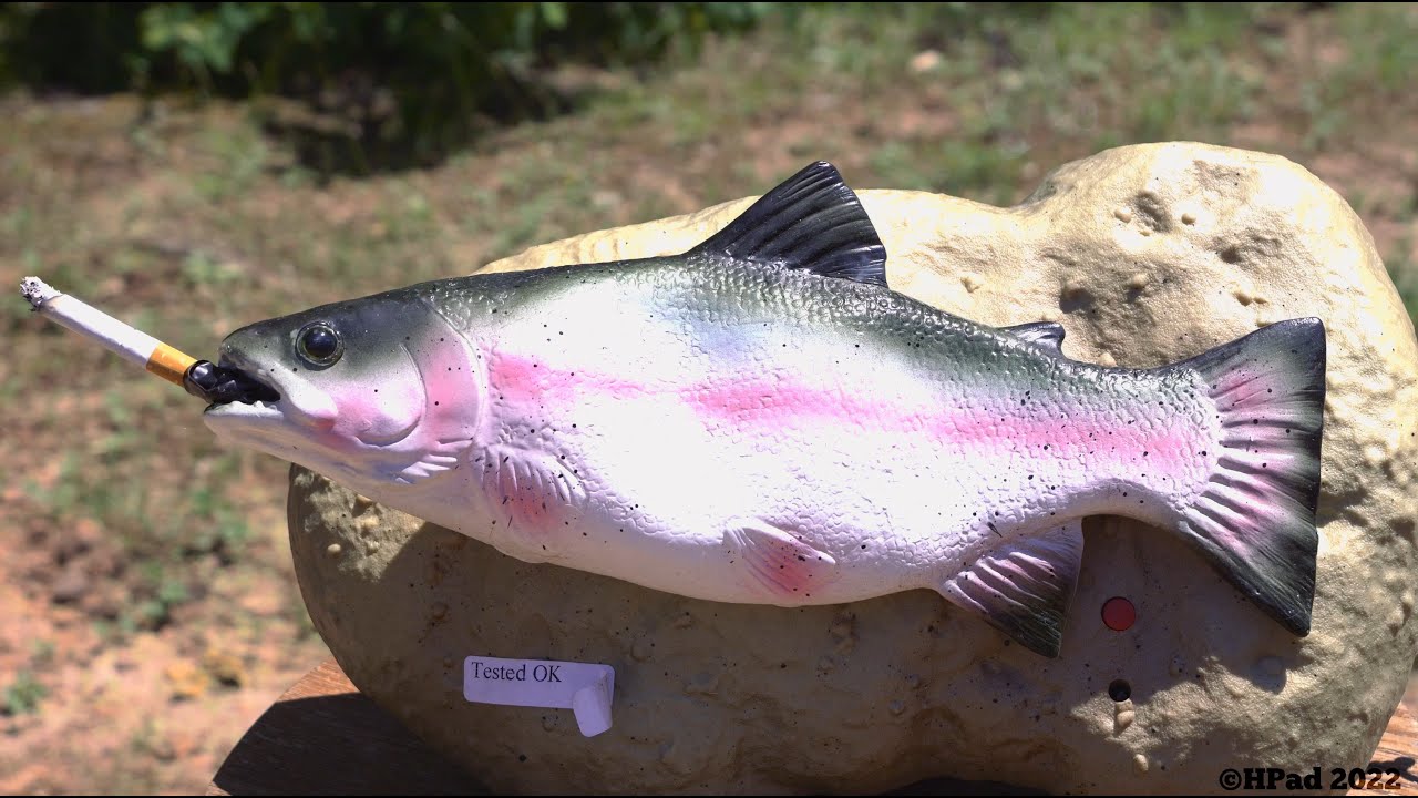 Travis the Singing Trout Destruction