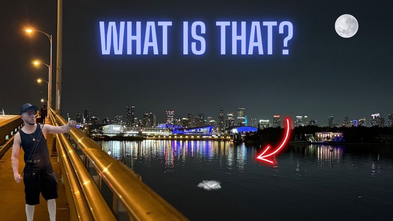 Night Fishing This Bridge Revealed INSANE Catches