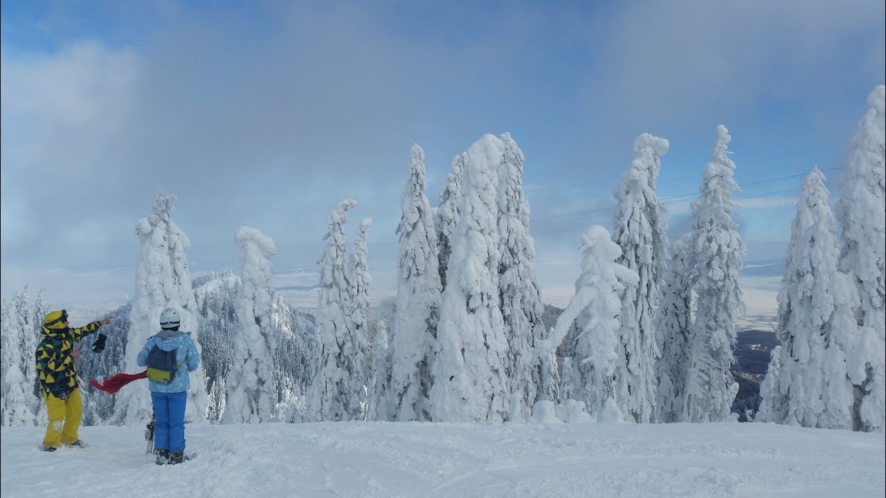 Prima oara cu placa/snowboard, Poiana Brasov
