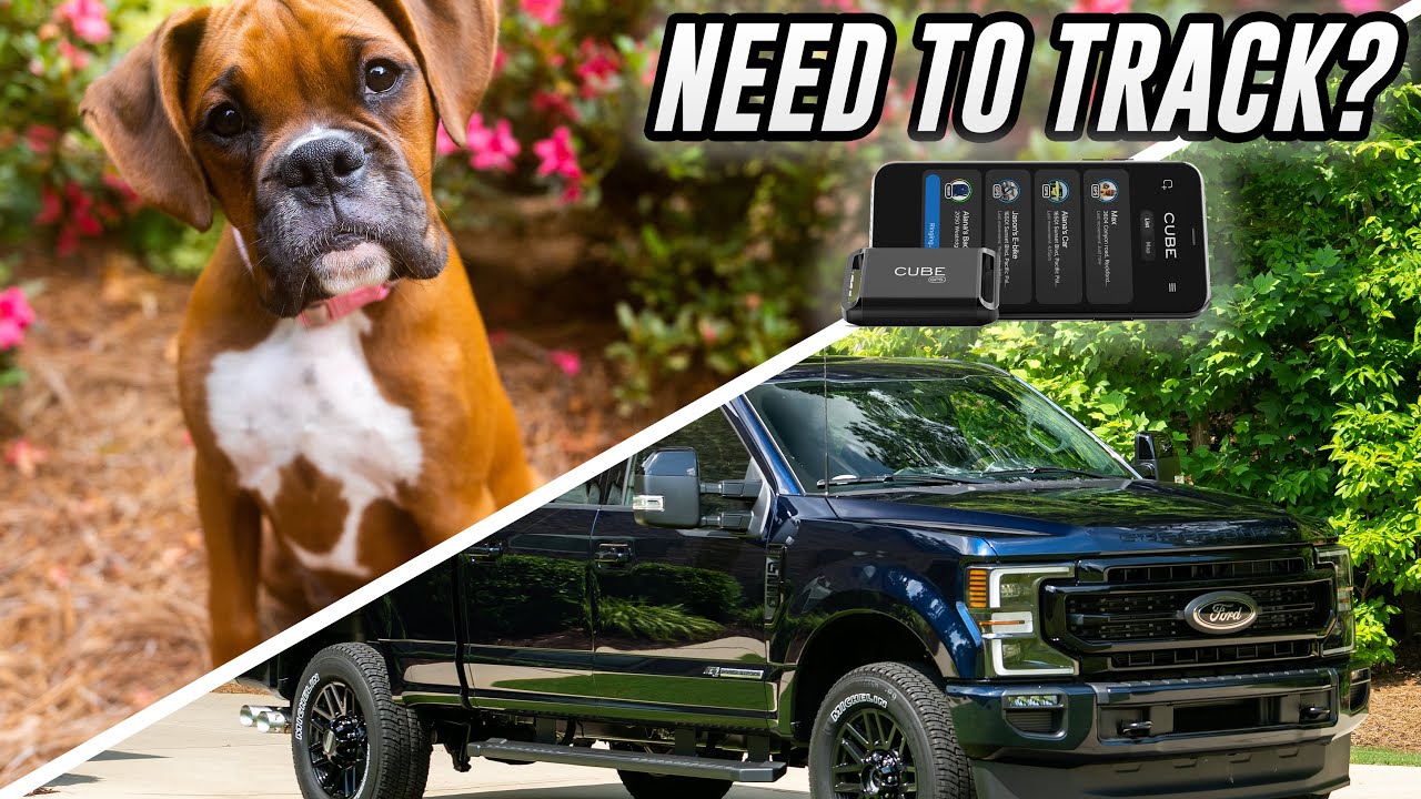 NEVER LOSE Your Pet, Child or Car Again - CUBE GPS Tracker Review