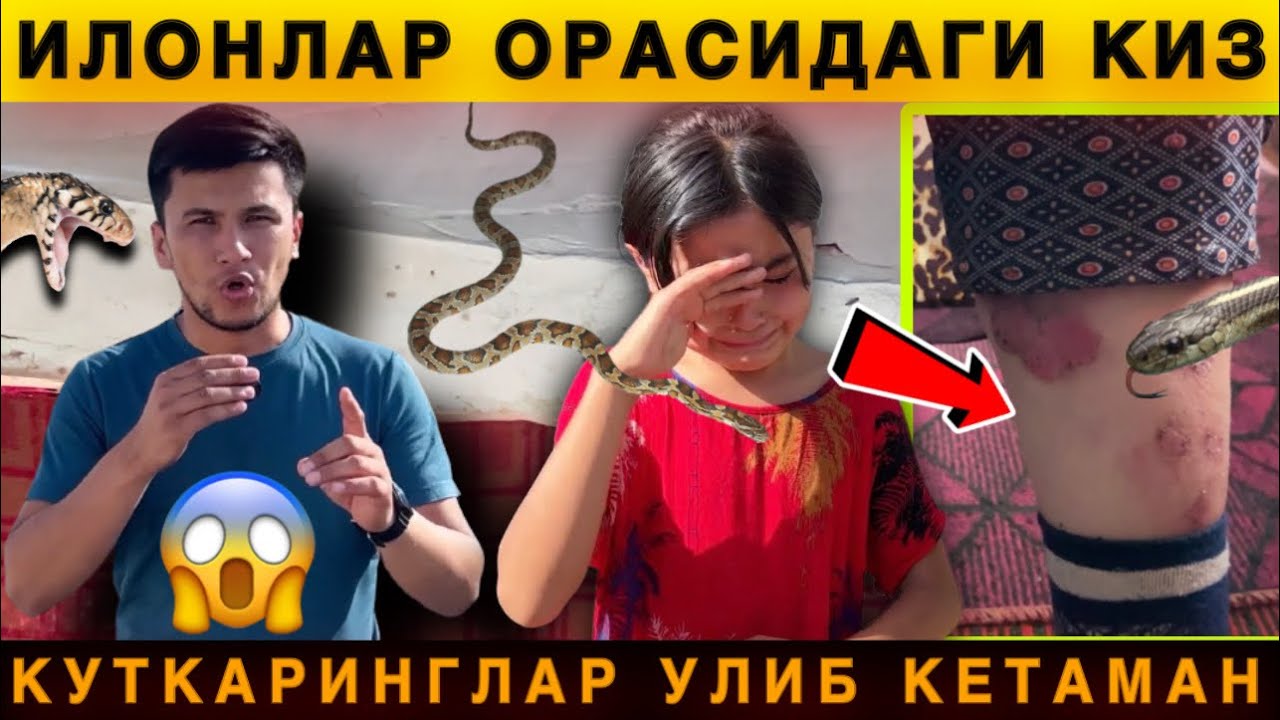 😱 Войдод. 11 Ёшли Кизча Илонлар Орасида. Улиб Коламан Ёрдам Беринглар 😨