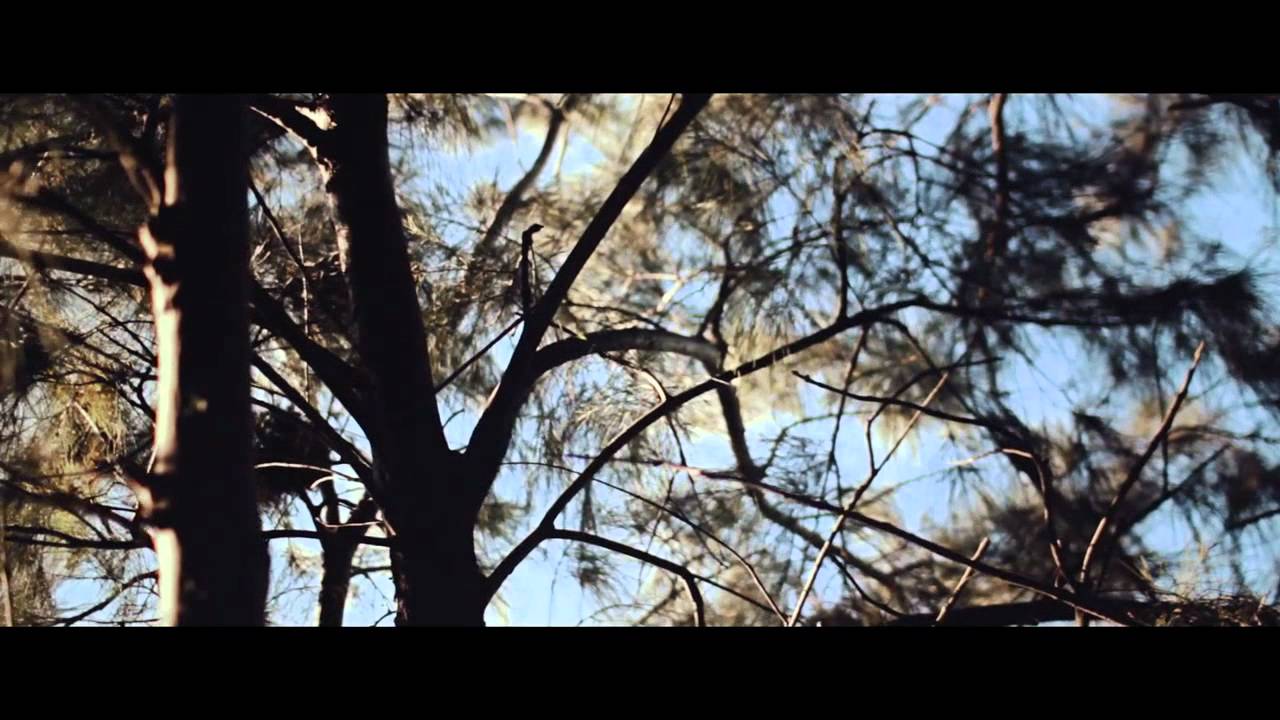 Where is your Wilderness