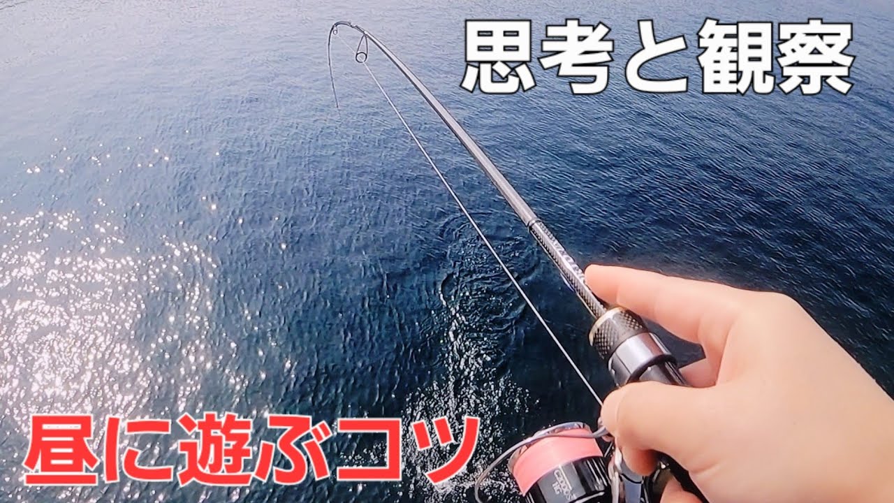【春の兆し】小魚を追ってデイアジング。理解で変わるデイゲーム