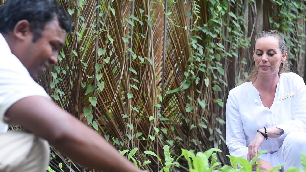 Sustainability Effort at InterContinental Maldives Maamunagau Resort