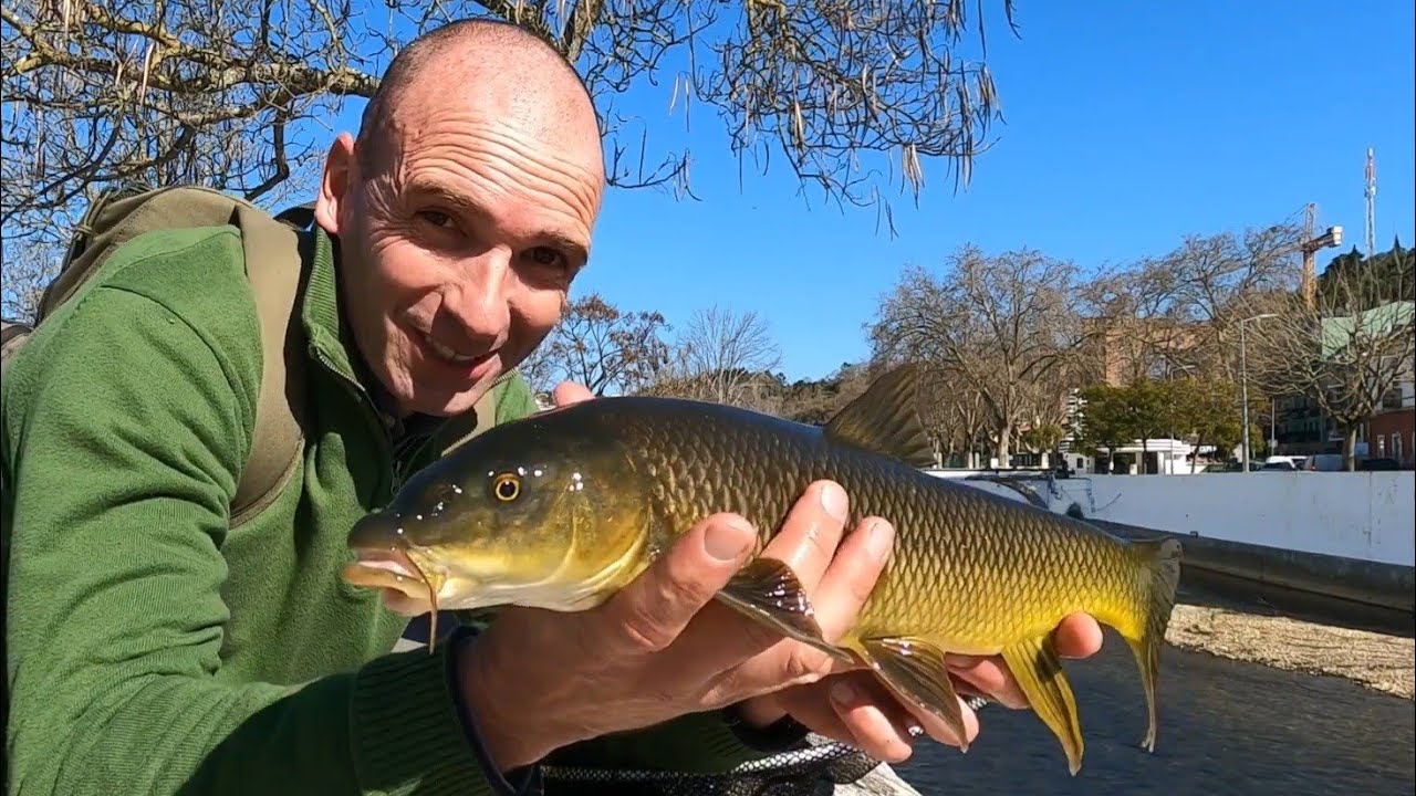 Os primeiros barbos de 2023