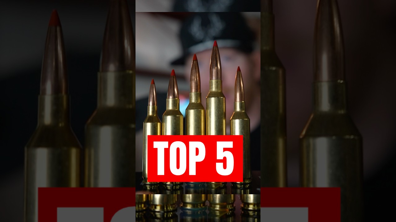 5 Greatest Big Game Cartridges of All Time! #hunting #top5 #cartridges