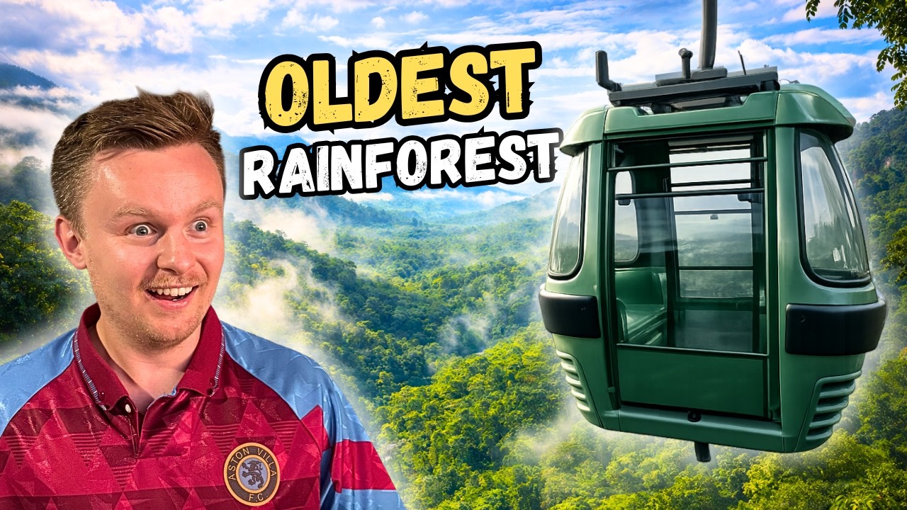 We Took a Skyrail Over the World’s OLDEST Rainforest!