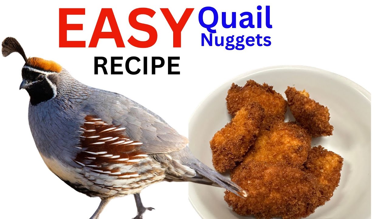 How to Make Crispy Quail Nuggets | Arizona Gambel Quail Recipe