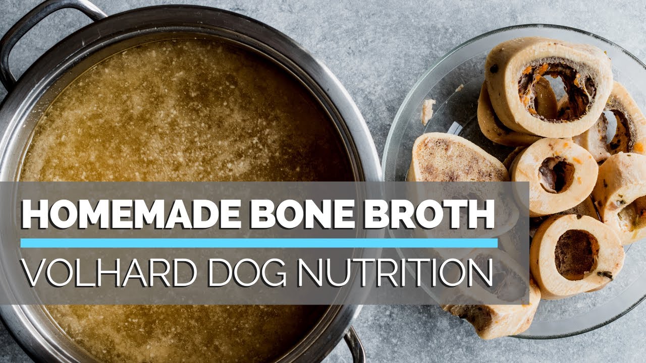 How to Make Homemade Bone Broth for your Dog - a simple way to make your dog food healthier!