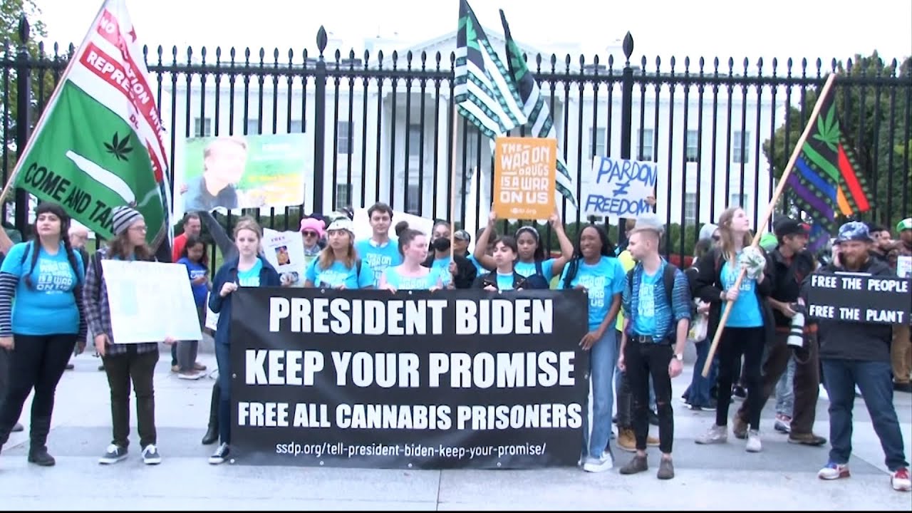 Pot Protest