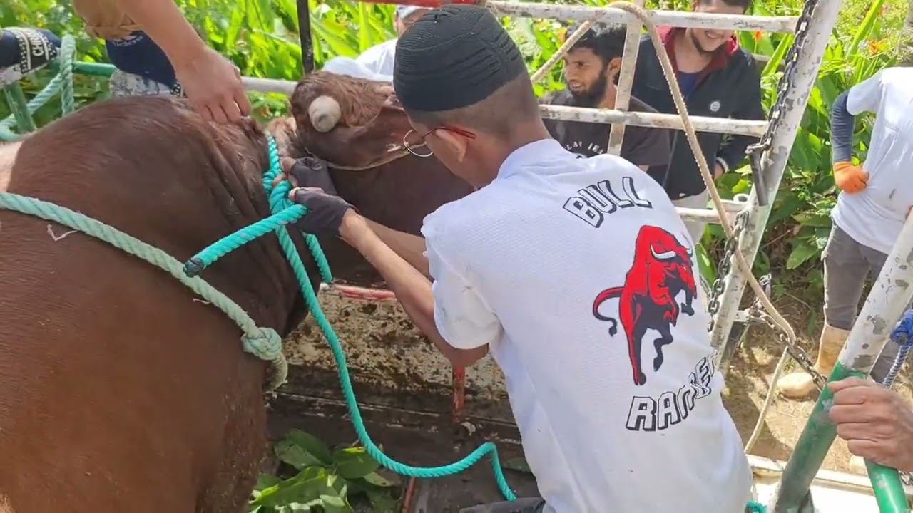 Bakrid 2023 Bull Rangers Team