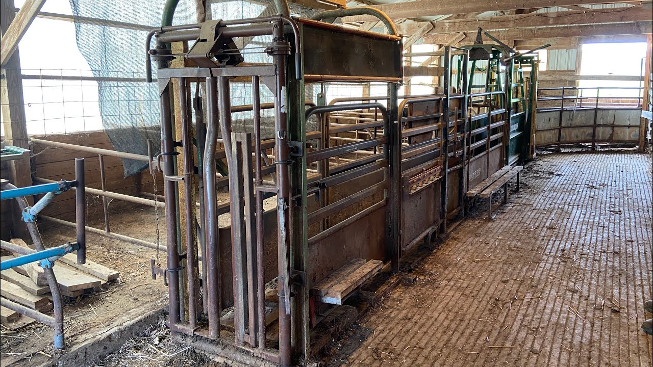 Cattle handling facility getting updated Part 1