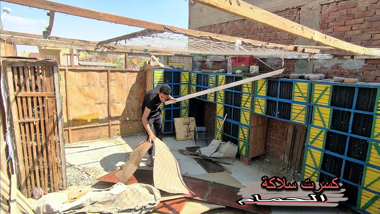 فكيت و كسرت سلاكة الحمام  كلها 👹اخيرا 💪🎊