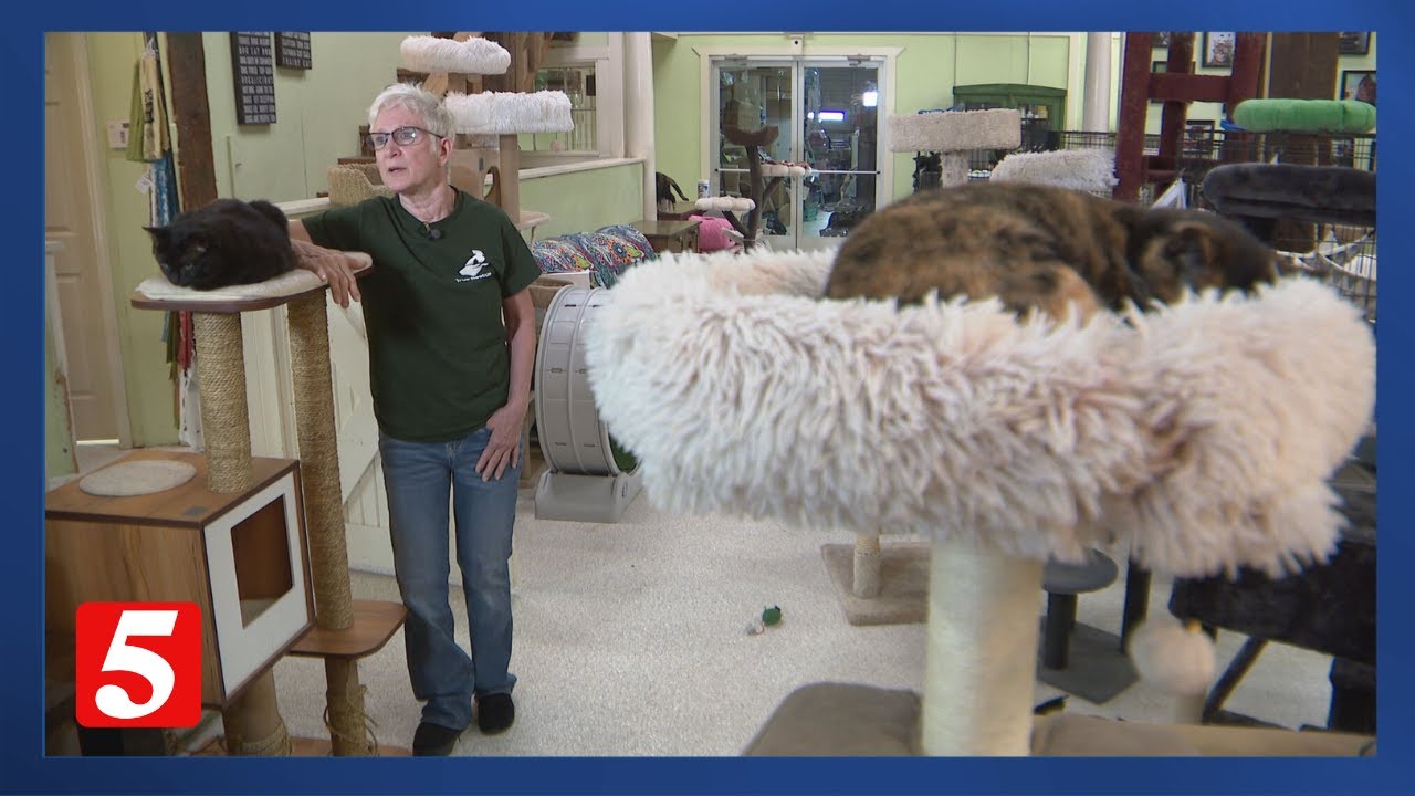 Mt. Juliet animal rescue organization helps pets affected by Hurricane Helene