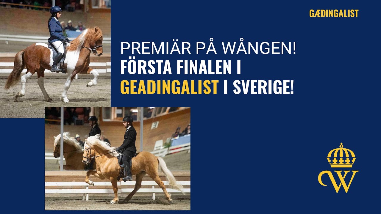 Gæðingalist på Wången
