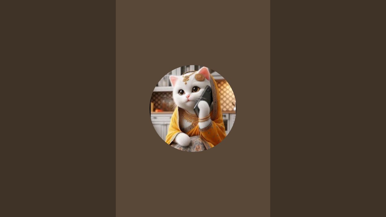 Cute cat  is live!