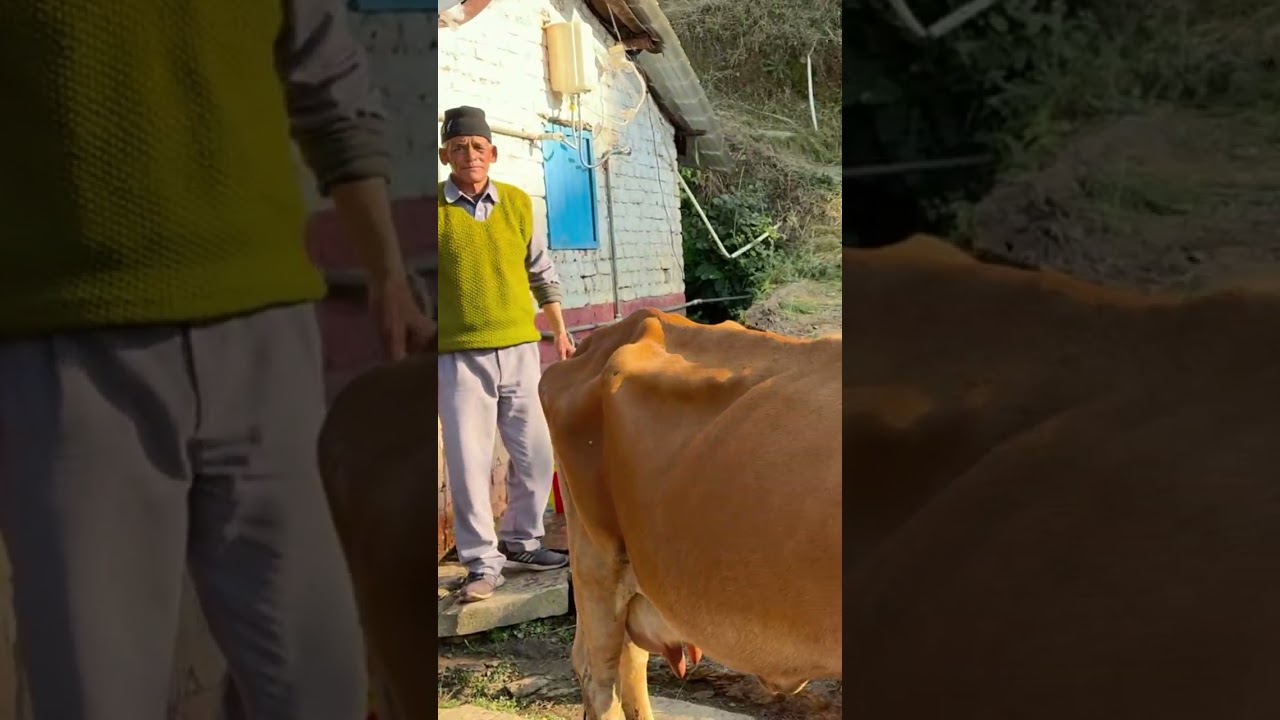 satkhol