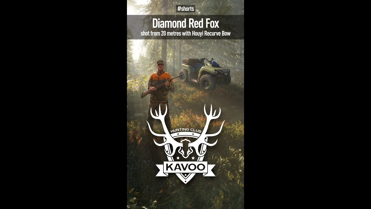 Diamond Red Fox shot with Houyi Recurve Bow #shorts