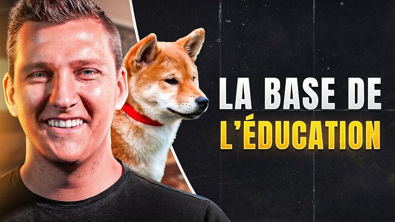 La premi&egrave;re chose &agrave; faire pour &eacute;duquer son chien - EDUC DOG