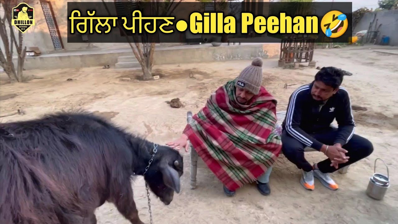 Gilla peehan||ਗਿੱਲਾ ਪੀਹਣ||Dhillon Bathinde Aala ,Matt Sheron Wala latest punjabi video 2021