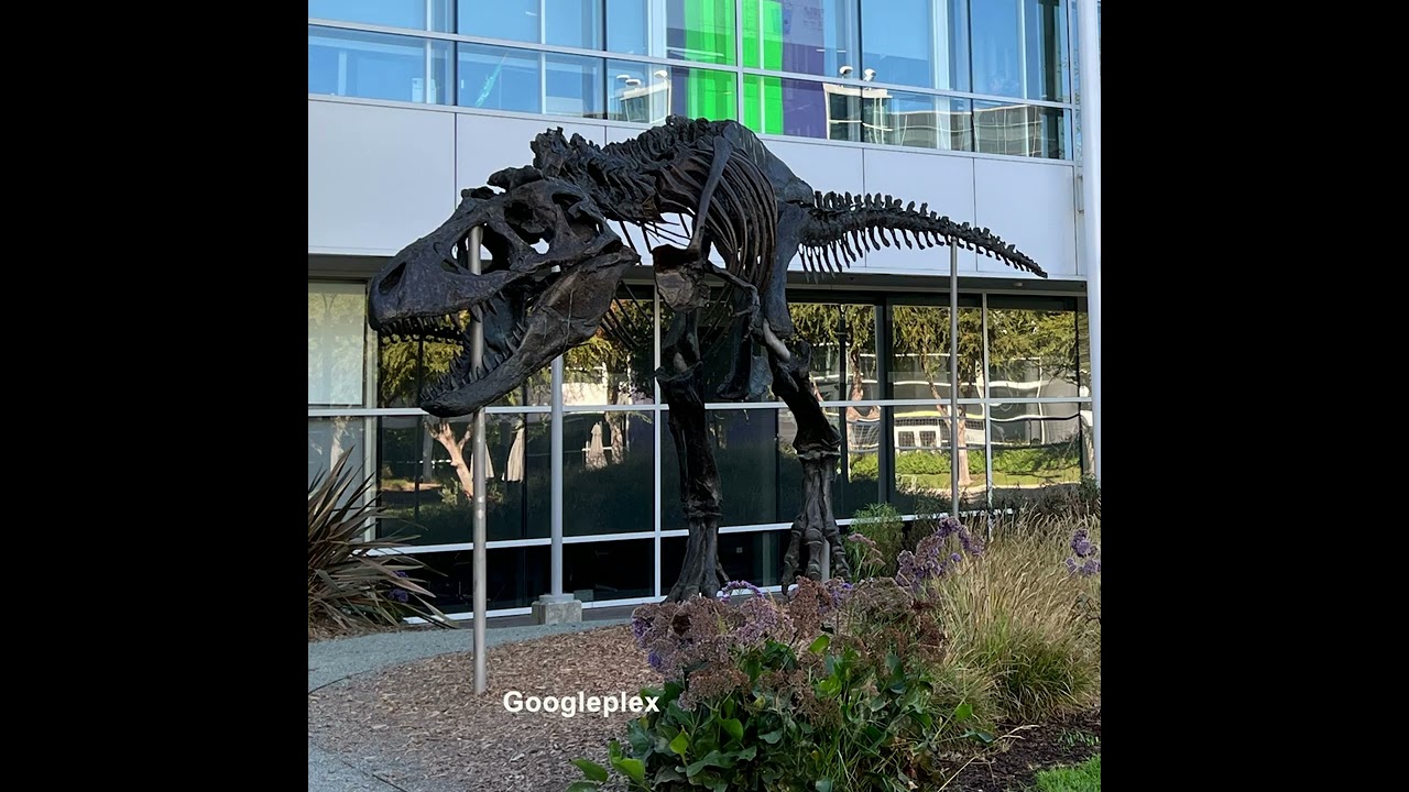 2732Silicon Valley Day Excursion Tour🖥️💻 #GooglePlex #ApplePark #Meta #Facebook #Intel #SanFrancisco