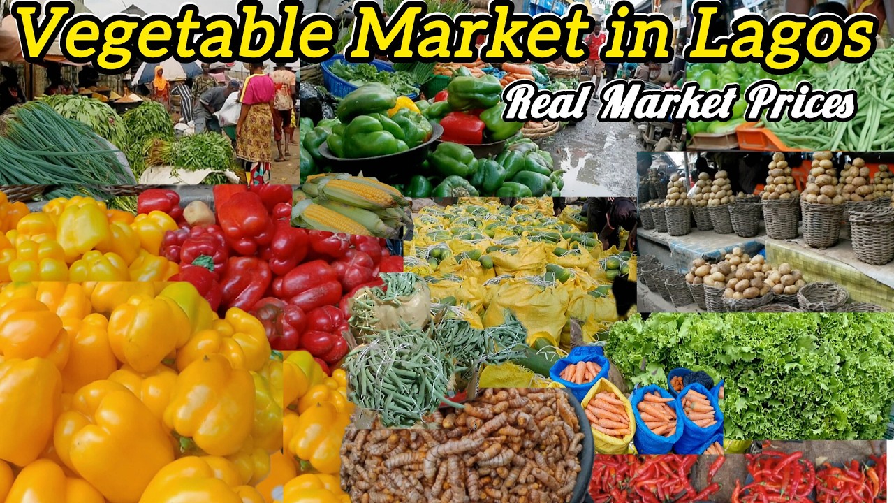 Mixed Fresh Vegetable Prices in Lagos Today || Wholesales Prices of Vegetables🫑 🥕