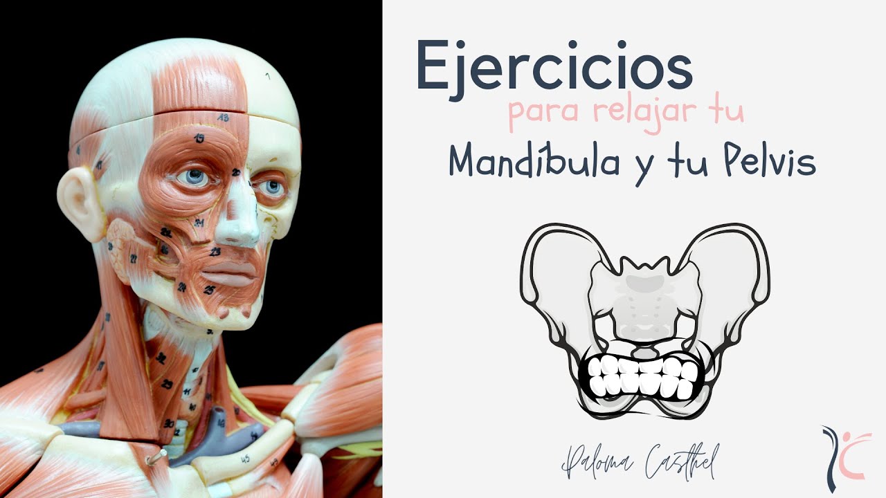 🥇Ejercicios para relajar tu mandíbula y tu pelvis