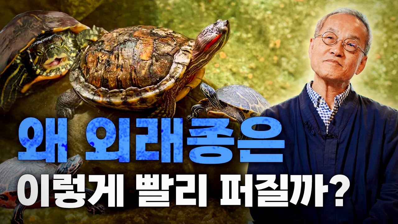 생태계 교란종이 된 동물들, 불법 반려동물, 외래종이 빨리 퍼지는 이유 | 최재천의 아마존