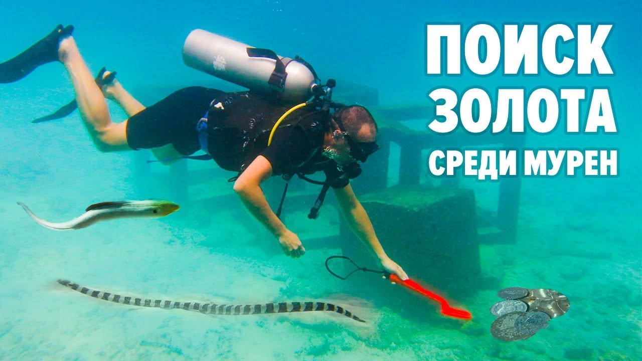 ДАЙВИНГ ПХУКЕТ. ЗМЕИ ПОД ВОДОЙ. СПУСТИЛСЯ с МЕТАЛЛОИСКАТЕЛЕМ В НАДЕЖДЕ НАЙТИ ЗОЛОТО!