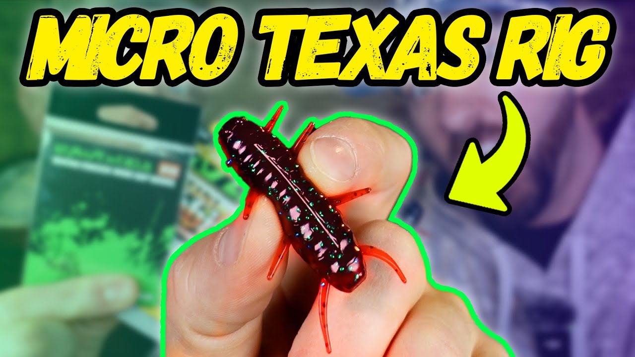 Top 5 BFS Lures You NEED to Try! Micro Texas Rig?!