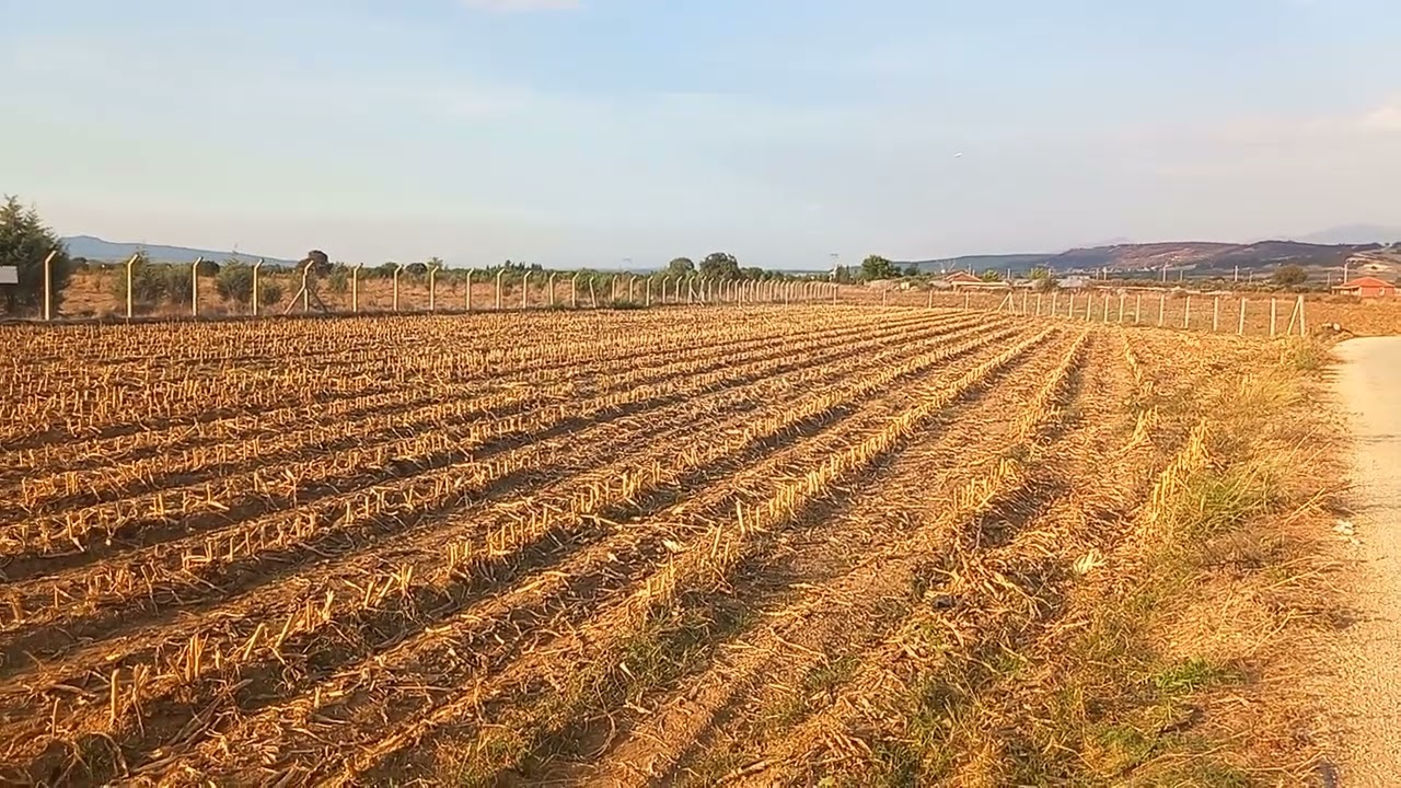 AYDIN İNCİRLİOVA DA SATILIK TARLA