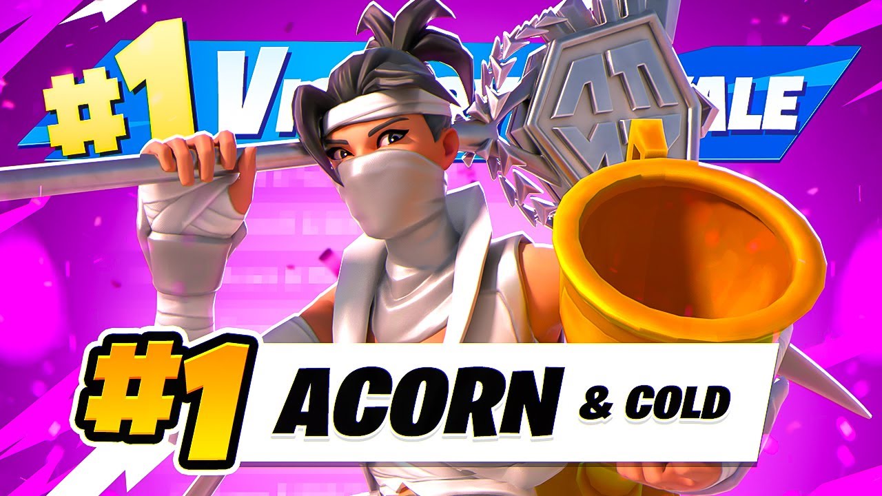 🏆1ST PLACE IN FNCS WEEK 3 (ft. Cold)🏆 | Acorn