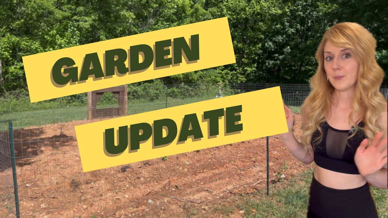 Garden Setup [Planting Tomatoes & Peppers]