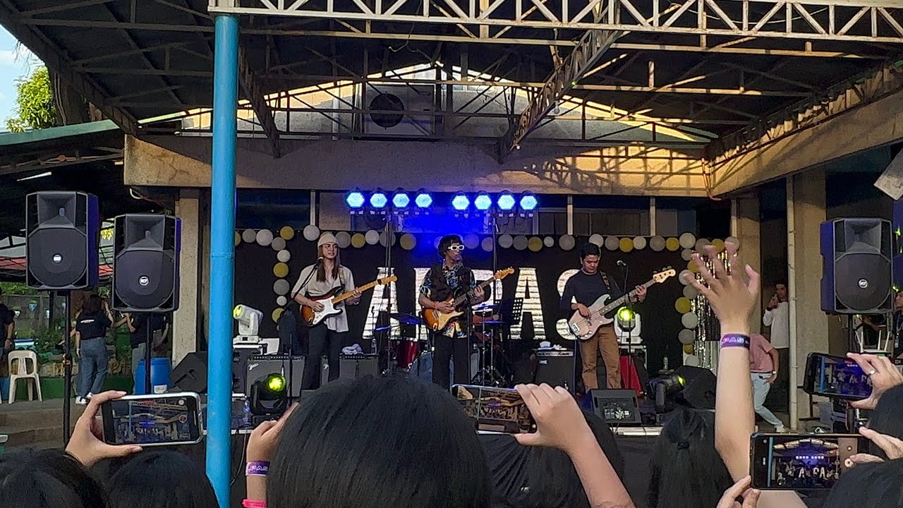 Calein Concert