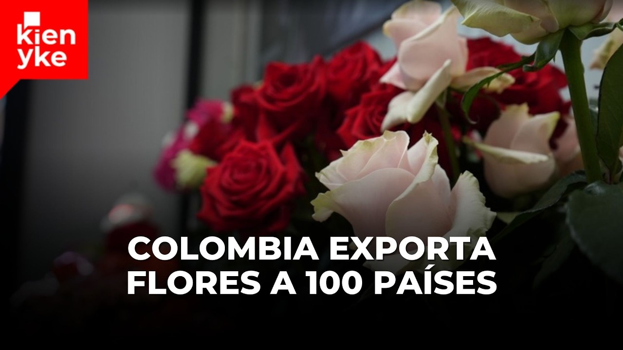 Colombia exporta 900 millones de flores en 2 semanas por San Valentín