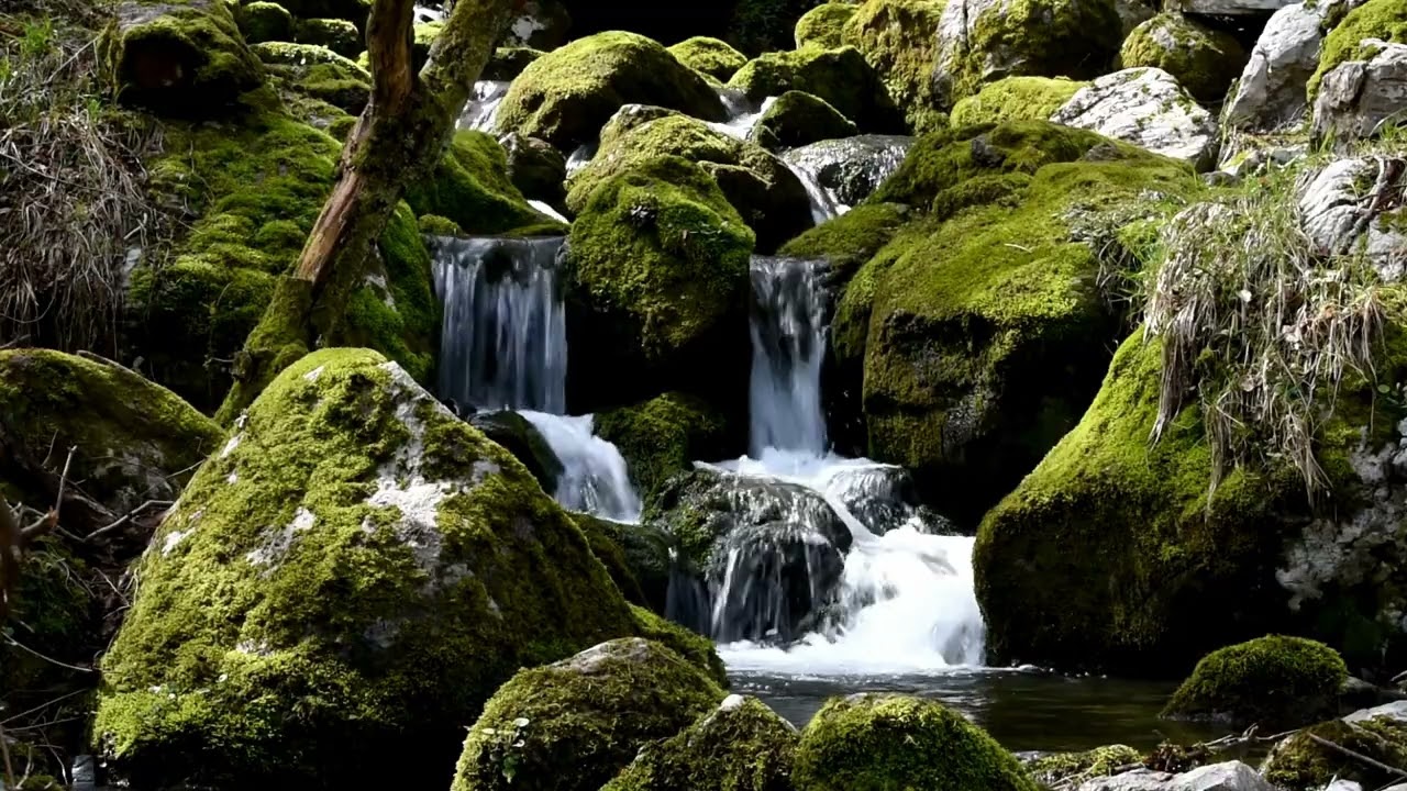 Healing Flute Soundscape for Deep Relaxation