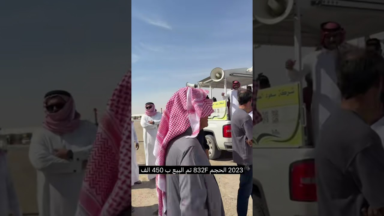 مقتطفات من مزاد اليوم الثلاثاء 2026/2/10