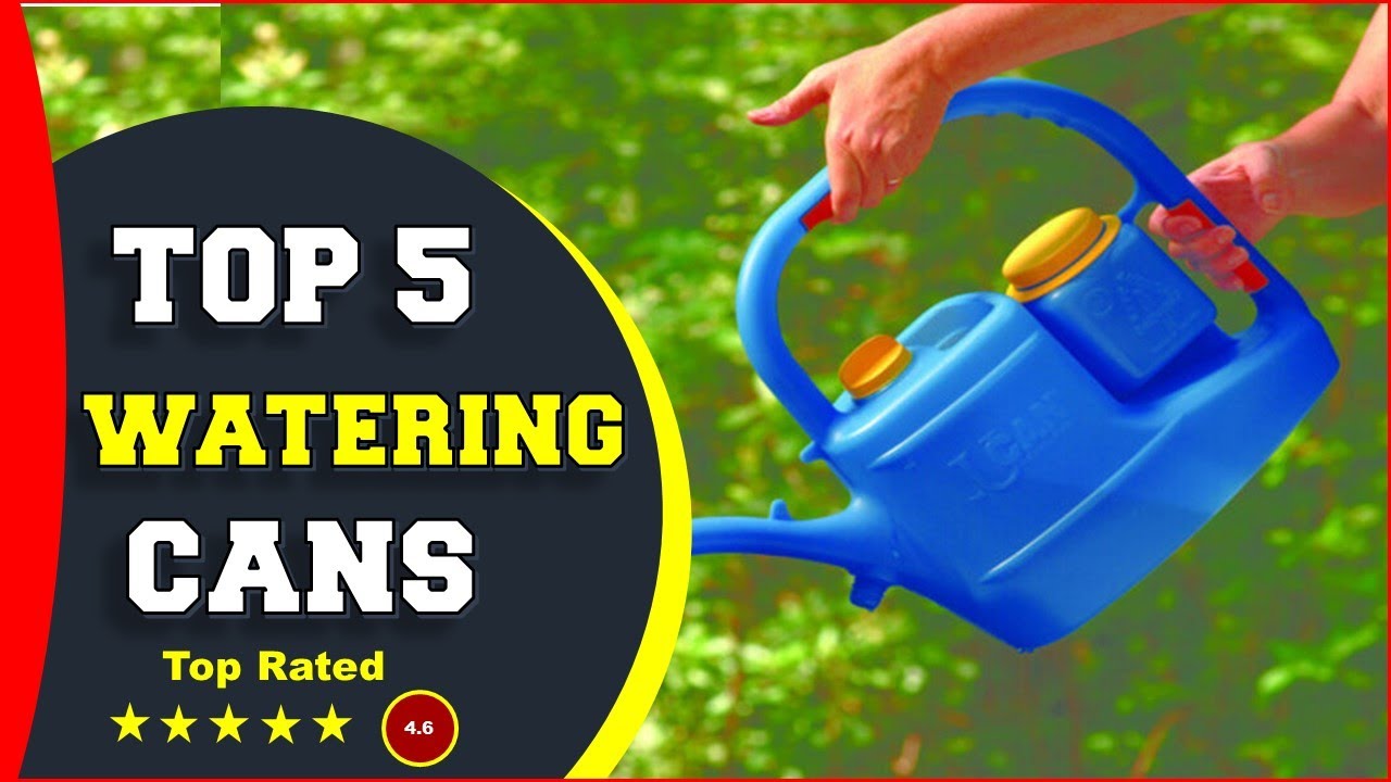 ✅ Top 5: Best Watering Cans for House Bonsai Plants 2022  [Reviewed & Buying Guide]