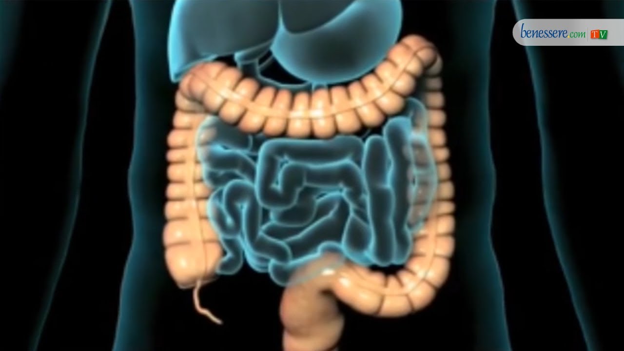 Intestino: secondo cervello. Ecco come influisce anche sulla salute psichica