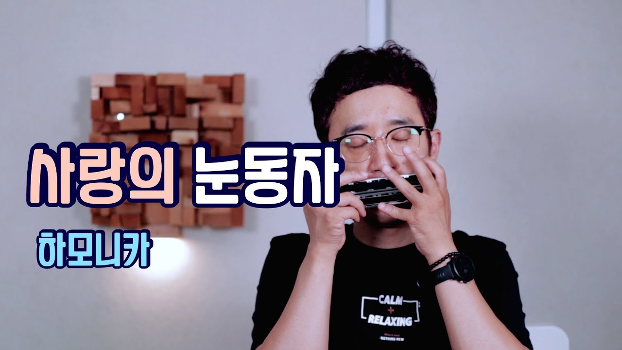 유익종-사랑의 눈동자 [하모니카] Cover 정훈 A키