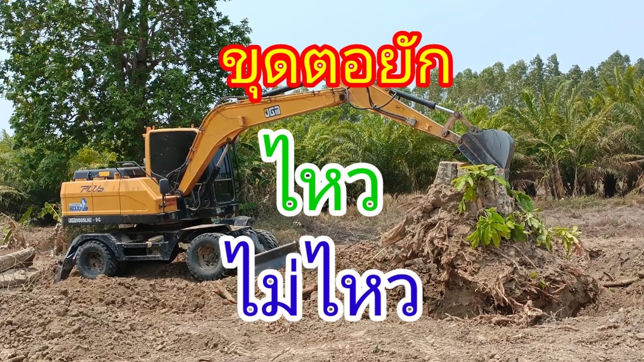 ขุดตอยัก รถขุดล้อยางJGMไหวมั้ย