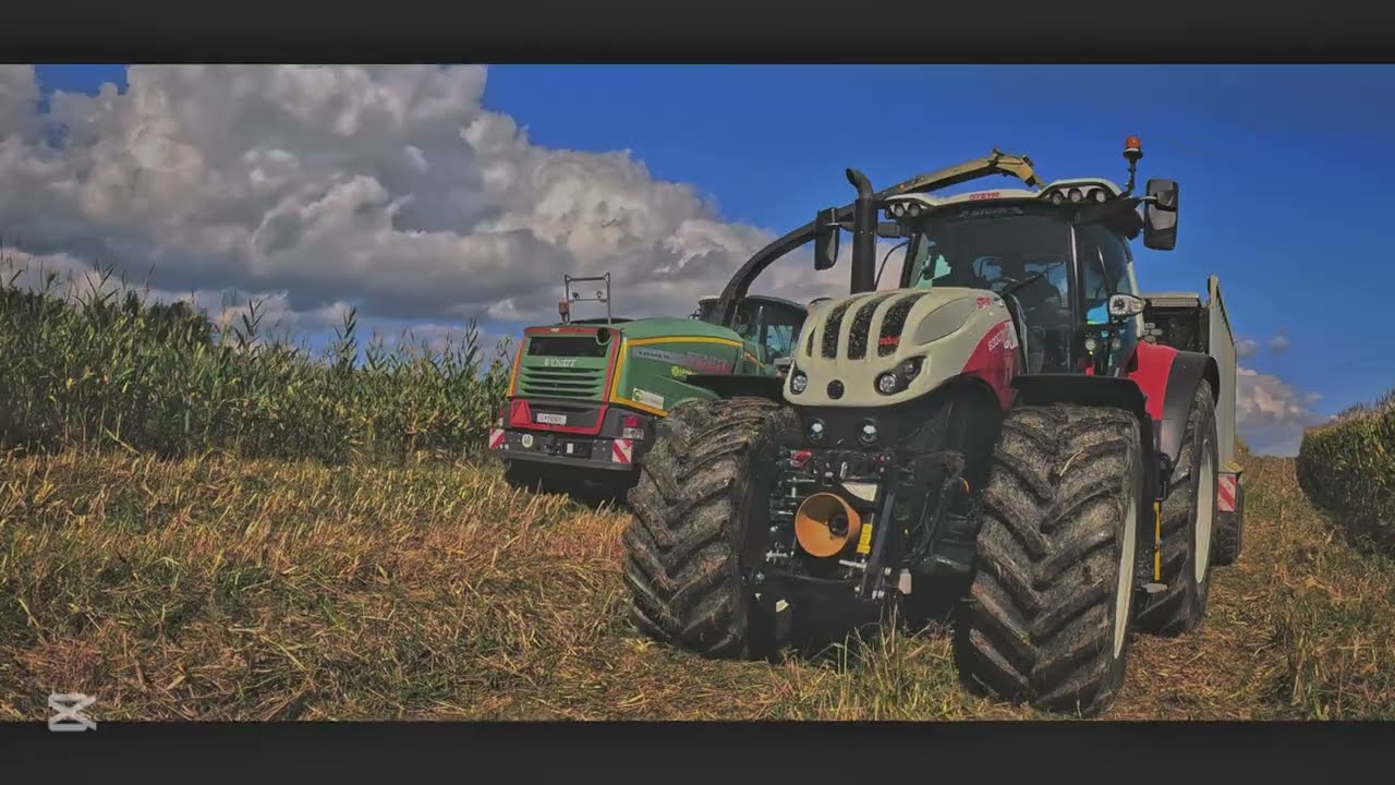 koruzna silaža /corn silage 2024 (SLO)