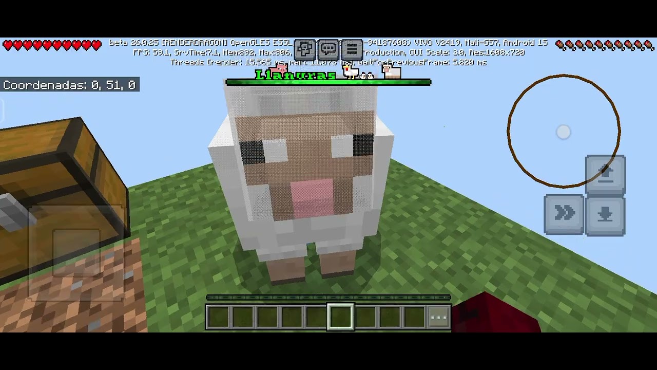 Jugando Minecraft 
