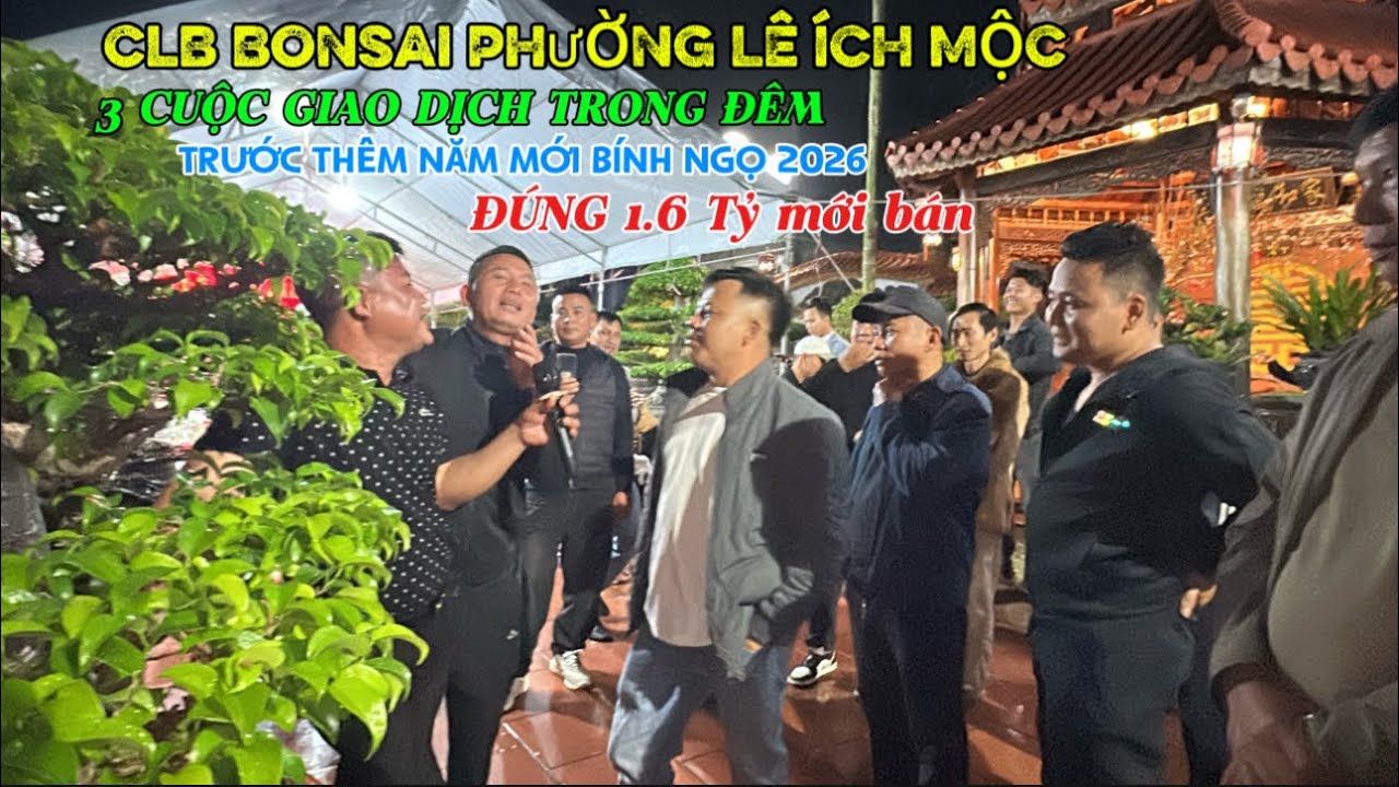 GIAO LƯU LIÊN TIẾP 3 TP. Tại CLB Bonsai Lê Ích Mộc trước thêm năm mới 2026 | Quảng Tùng