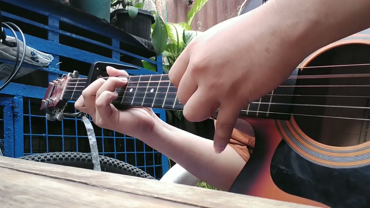 Cant help falling in love with you - Elvis Presley (Fingerstyle Guitar Cover)