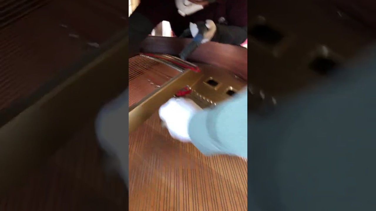 Piano string cleaning and conditioning at Amadeus Piano Co., L.L.C.