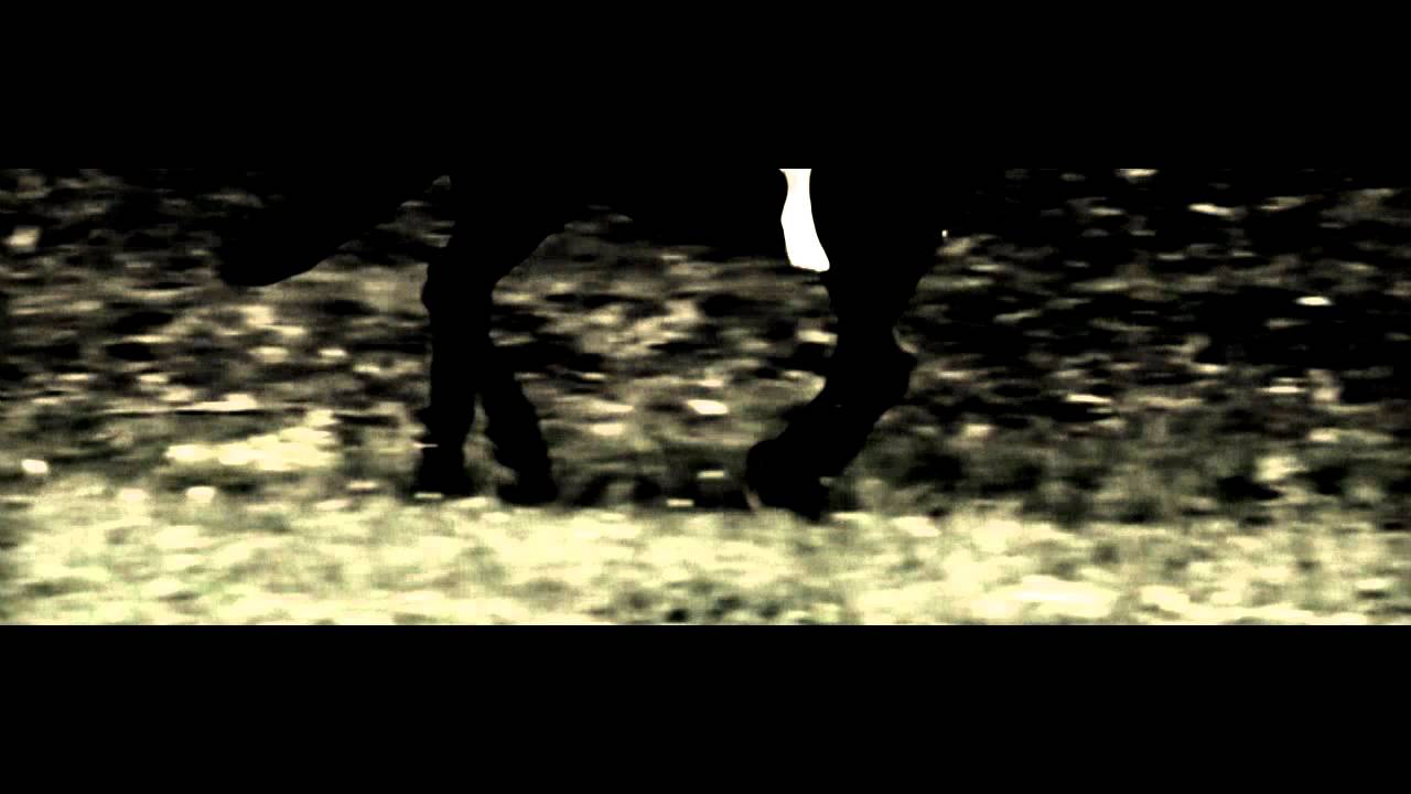 Holdviola - V&aacute;gta (2011)