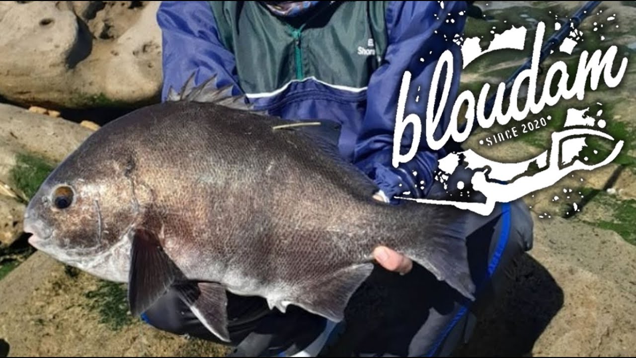 Xtreme Fishing Galjoen Derby 2024 Results! Best Fishing Competition Ever!