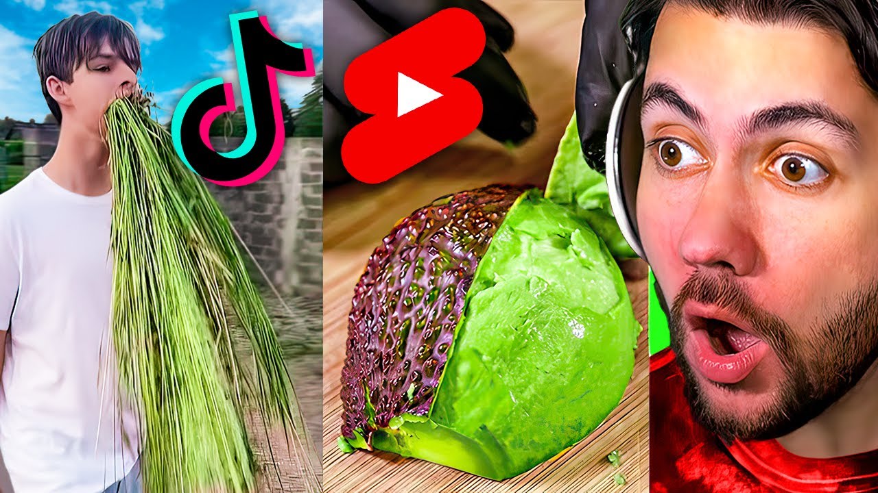 Which Is Better, TikTok Or Shorts