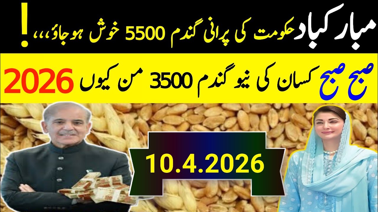 Wheat Support Price 2026 / گندم کی نئی امدادی قیمت فائنل اعلان 